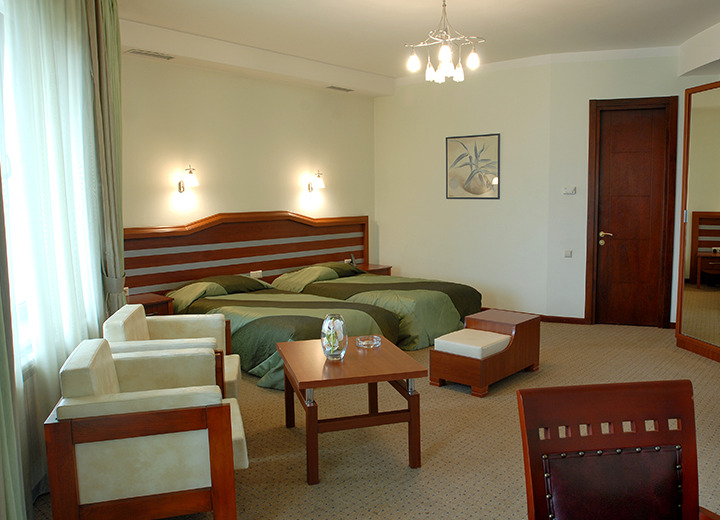 Hotel Vedzisi Tbilisi Luaran gambar